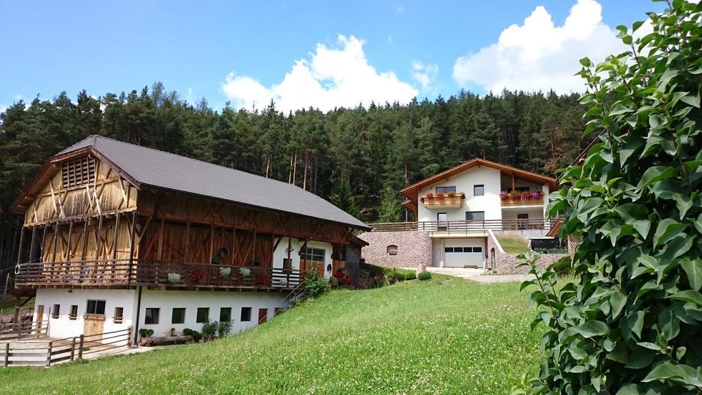 Polzhof Daire Castelrotto Dış mekan fotoğraf
