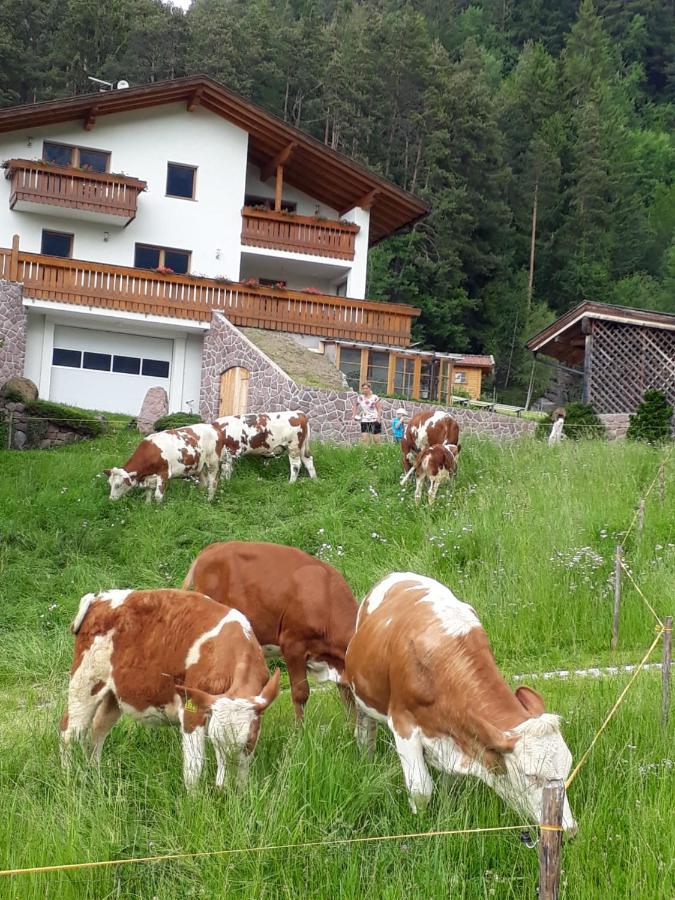 Polzhof Daire Castelrotto Dış mekan fotoğraf